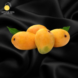 Devgad Alphonso Mango