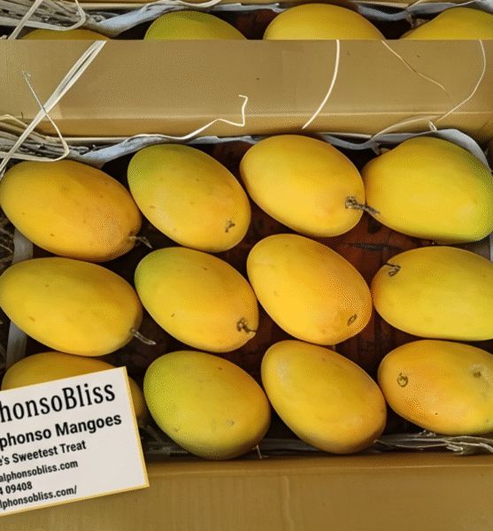 Authentic Devgad Alphonso Mangoes