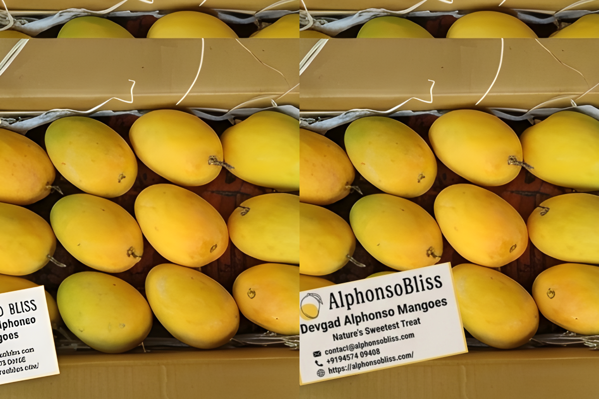Authentic Alphonso Mango (2 Dozen)