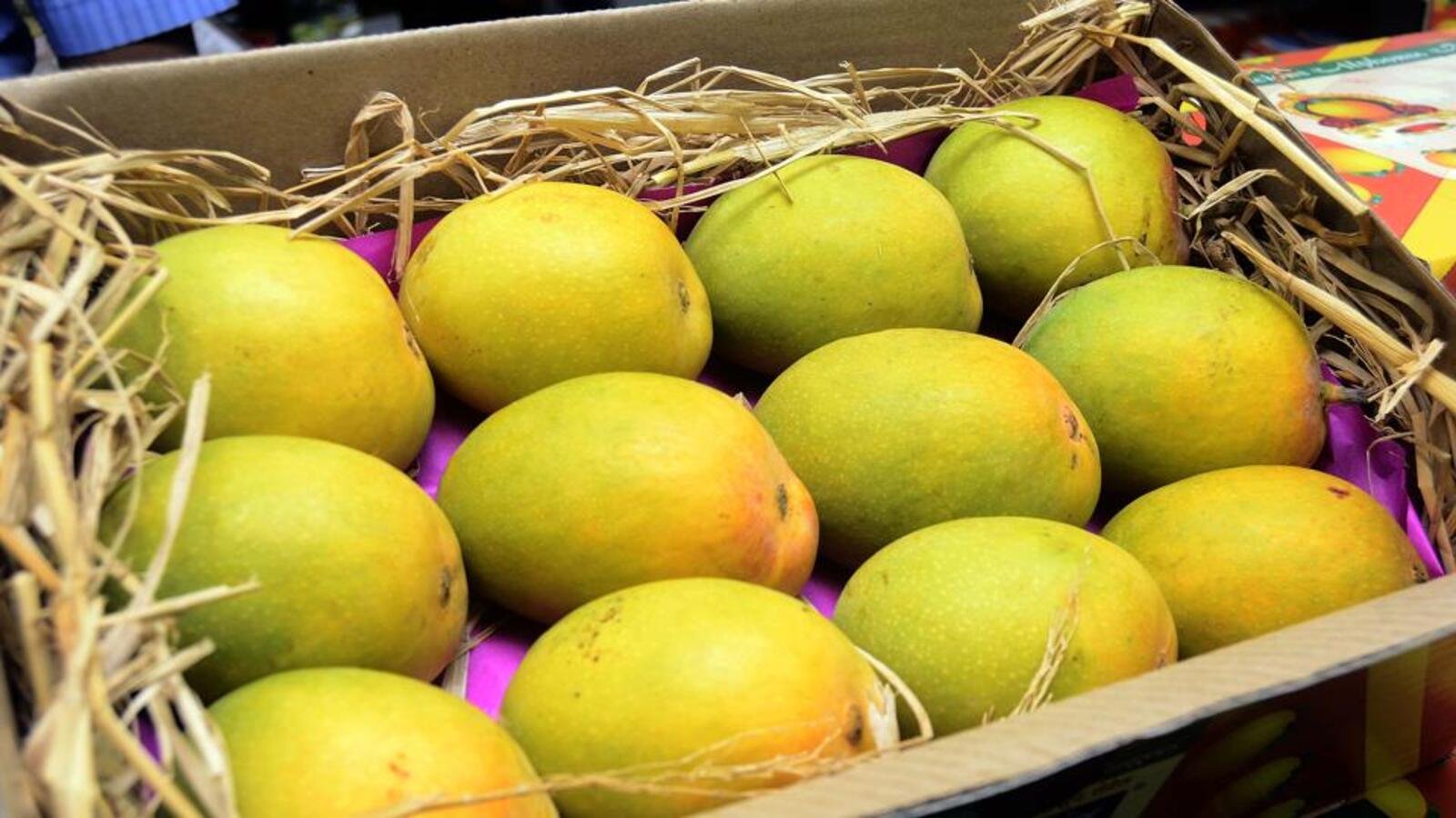 Authentic Alphonso Mango (1 Dozen)