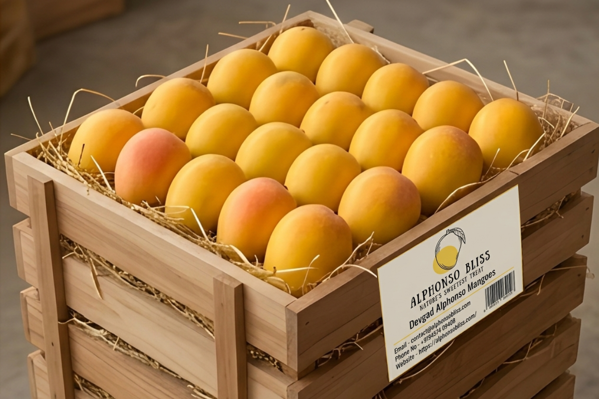 Authentic Alphonso Mango (2 Dozen)