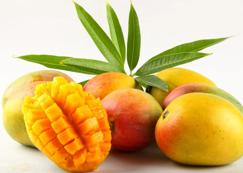 Authentic Devgad Hapus Guide – AlphonsoBliss Blog 5 Ready to Buy Real Devgad Alphonso Mangoes? Here’s What You Should Know Before Ordering