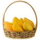 mango box 1 mango box 1