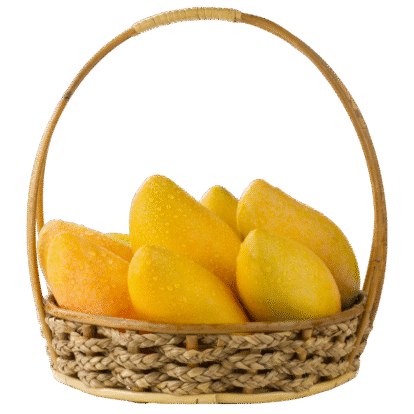 mango box 1 mango box 1