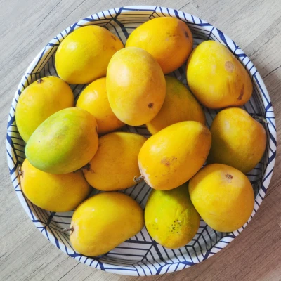 Fresh alphonso mangoes
