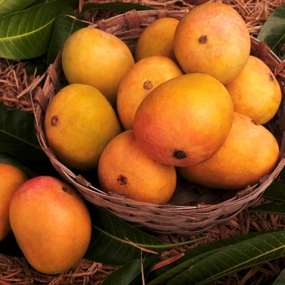Fresh mango