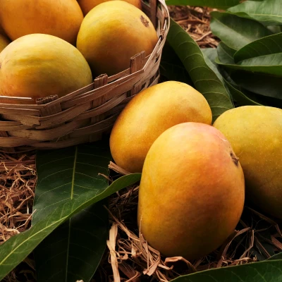 Fresh mango