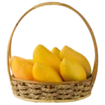 mango box 1