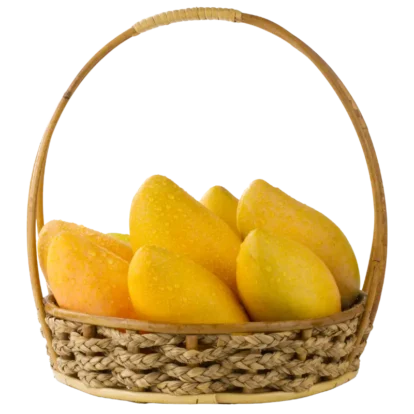 mango box 1