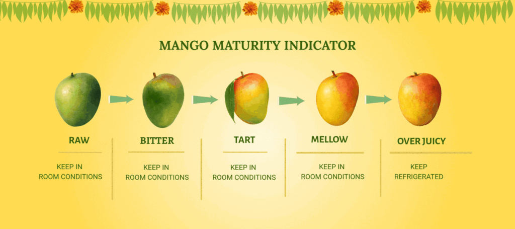 Home 32 Maturity Indicator 1