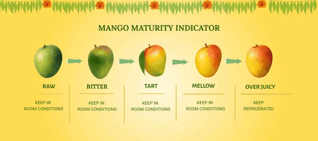 Home 42 Devgad Alphonso Mangoes