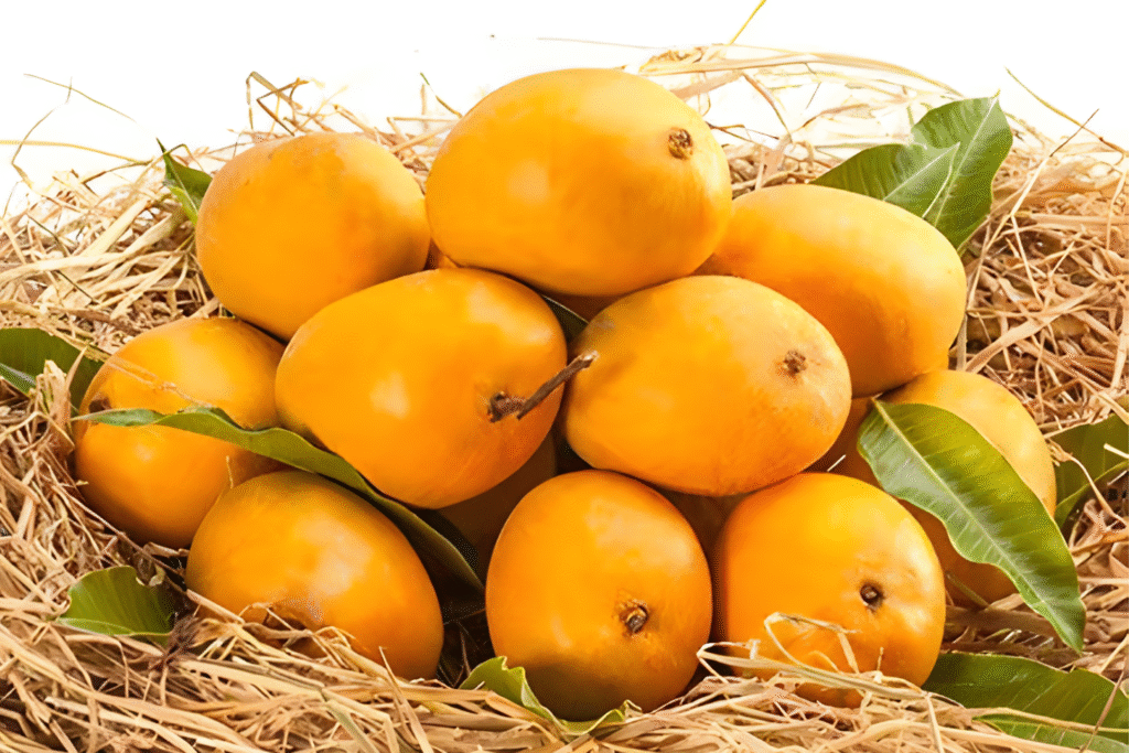 Best Place to Buy Devgad Alphonso Mangoes Online – 100% Authentic Alphonso Mangoes Delivered